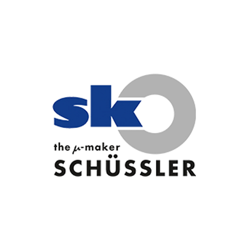 logo Schussler